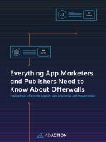 Offerwall Ebook